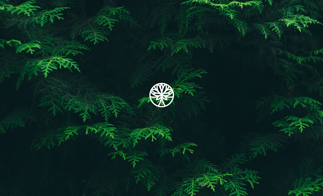 國外logo設計大全